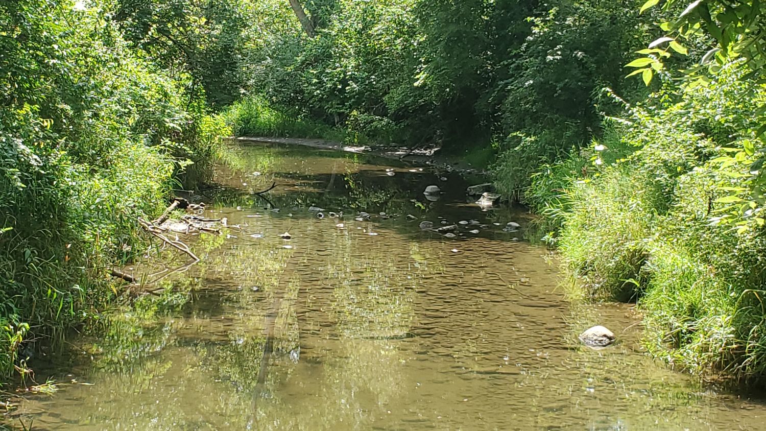 Shabbona Lake State Park 